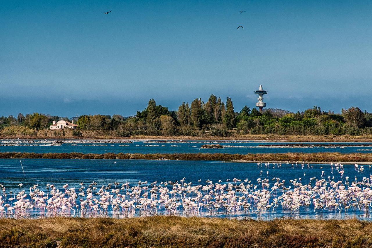 Villa Gloria Appartamento E01 Rosolina Mare Bagian luar foto